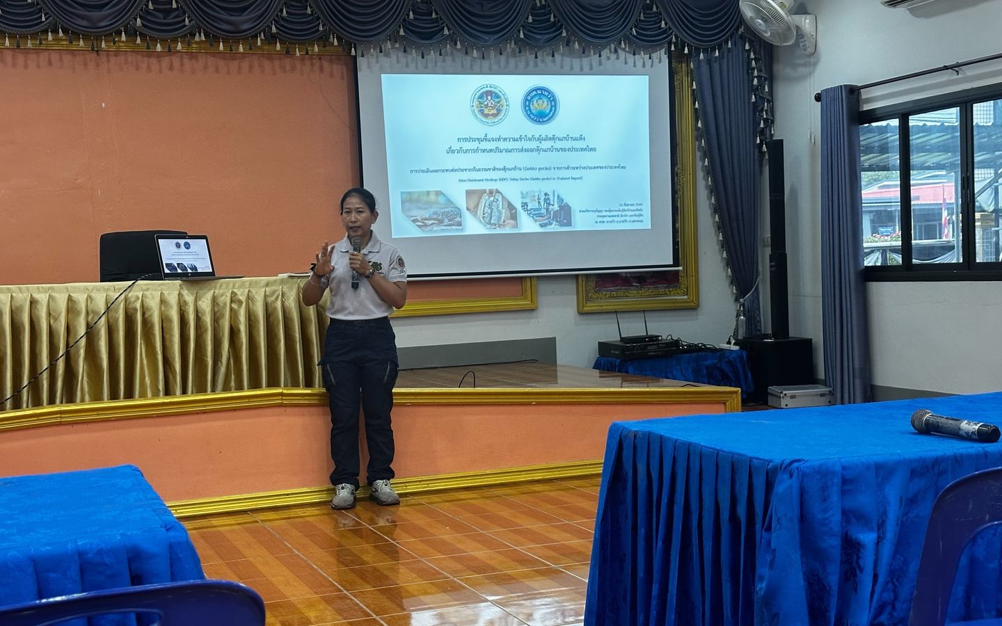 DNP CITES Division briefing for dried-gecko producers in Na Wa District